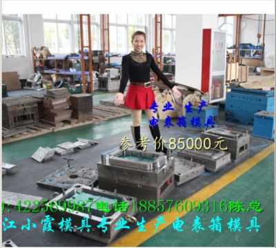 中国塑胶电表箱模具,ABS注塑电表箱模具,十表家用电表模具